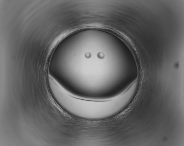 X0000116321373200912151232