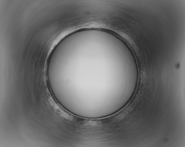 X0000116321374200912151232