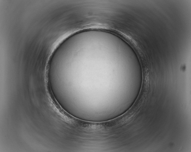 X0000116321375200912151232