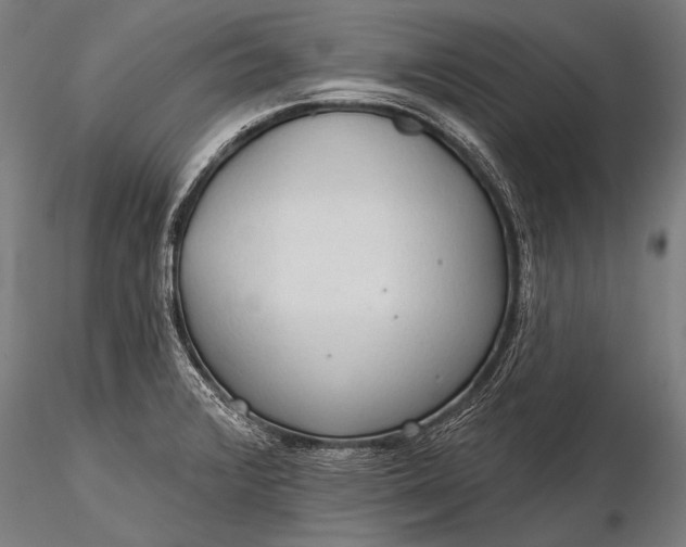 X0000116321376200912151232