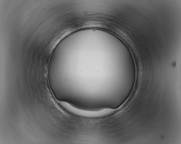 X0000116321377200912151232