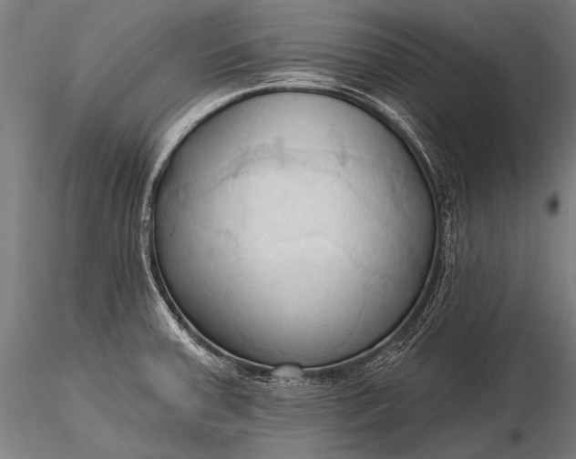 X0000116321379200912151232