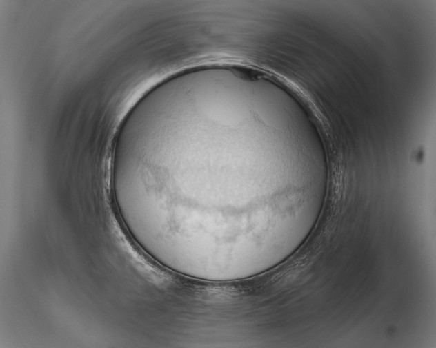 X0000116321383200912151232