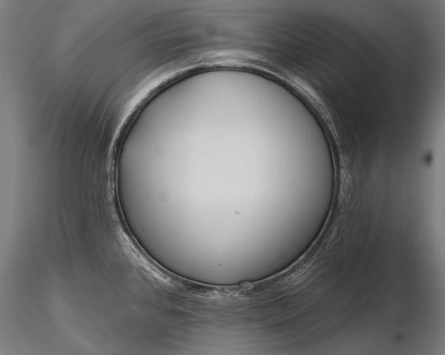 X0000116321384200912151232