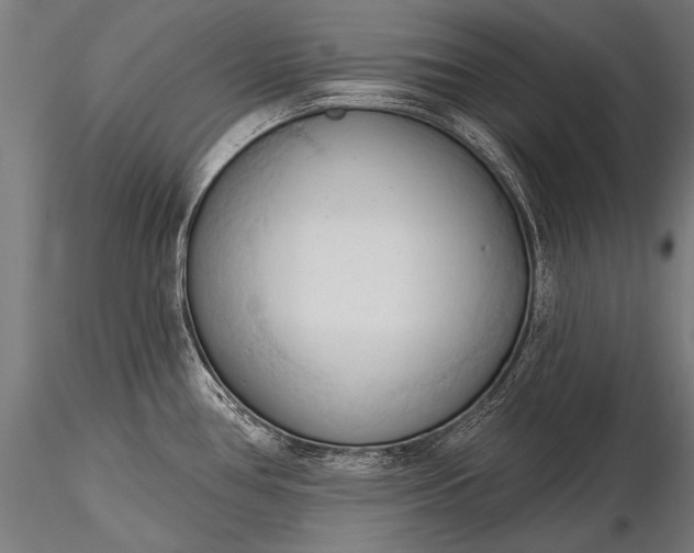 X0000116321386200912151232