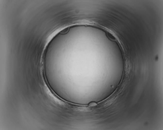 X0000116321387200912151232