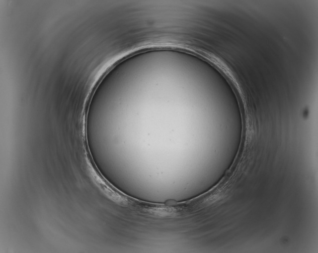 X0000116321388200912151232