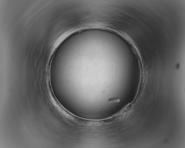 X0000116321389200912151232