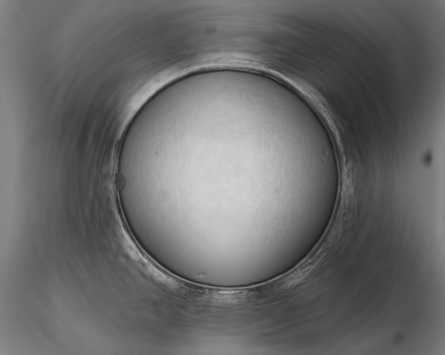 X0000116321390200912151232