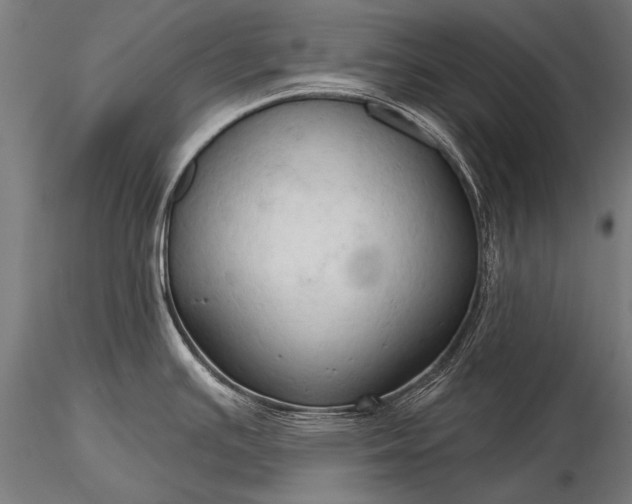 X0000116321391200912151232