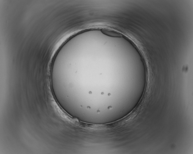 X0000116321392200912151232