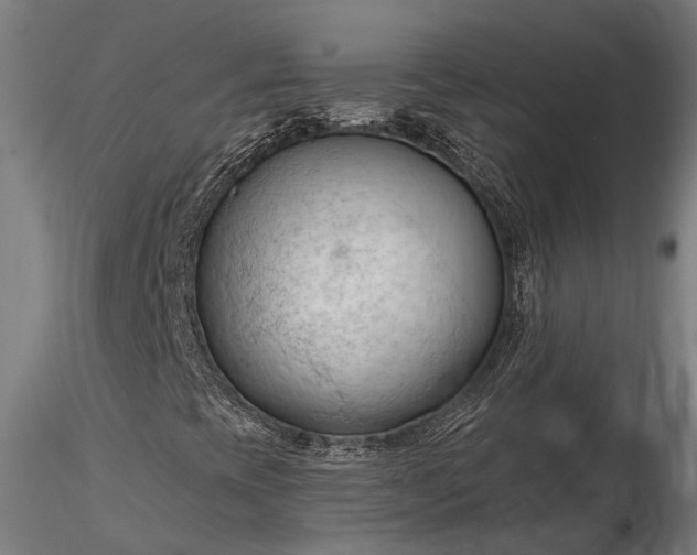 X0000116321393200912151231