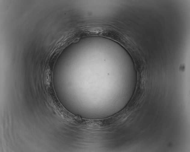 X0000116321394200912151231