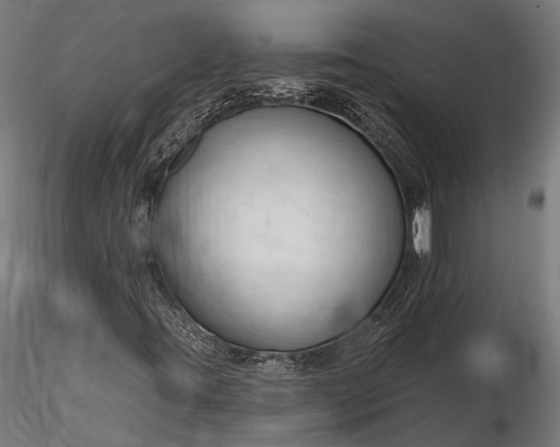 X0000116321395200912151231