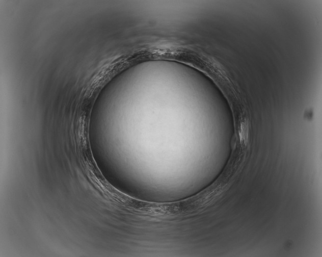 X0000116321396200912151231