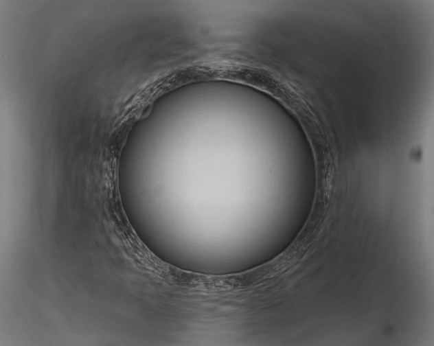 X0000116321397200912151231