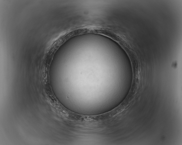 X0000116321398200912151231