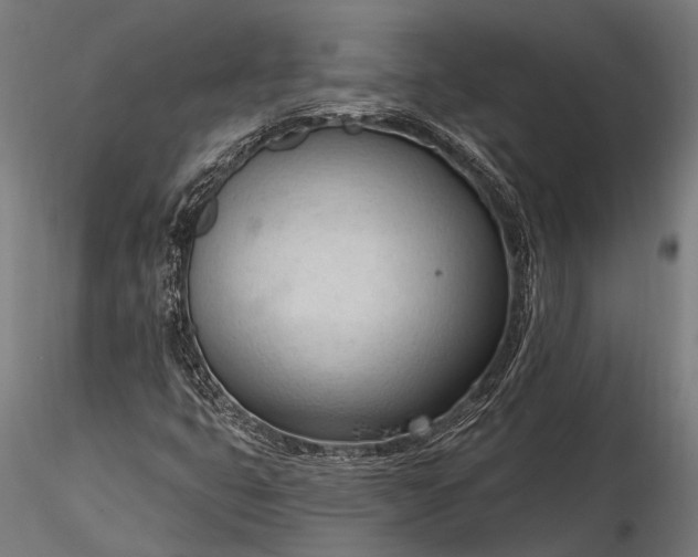 X0000116321399200912151231