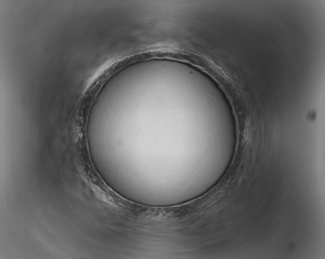 X0000116321400200912151231