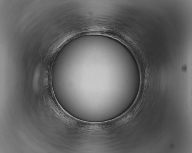 X0000116321401200912151231