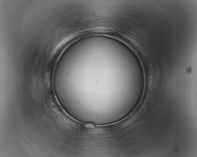 X0000116321402200912151231