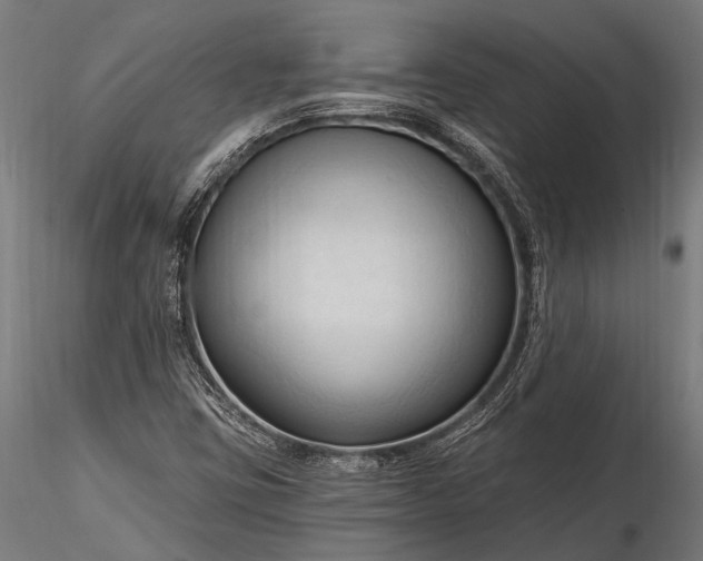 X0000116321403200912151231