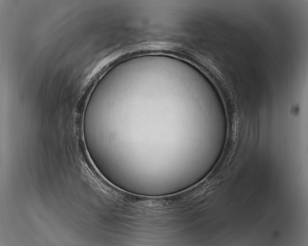 X0000116321404200912151232