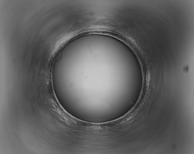 X0000116321405200912151232