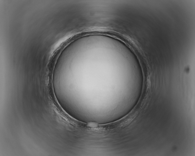 X0000116321406200912151232