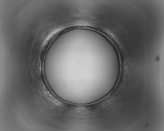 X0000116321408200912151232