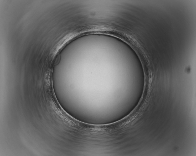 X0000116321409200912151232