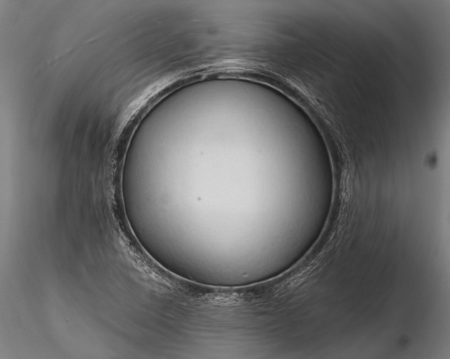 X0000116321410200912151232