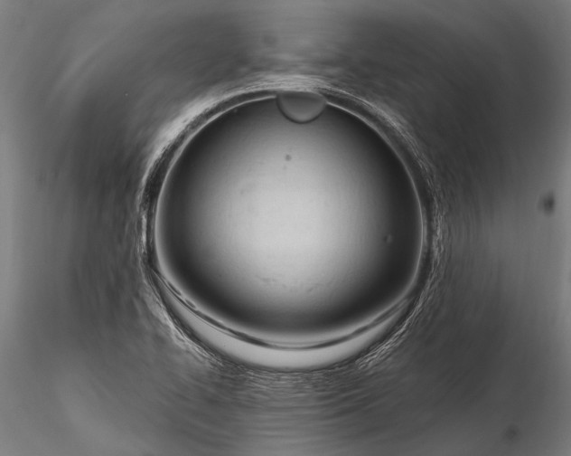 X0000116321414200912151232