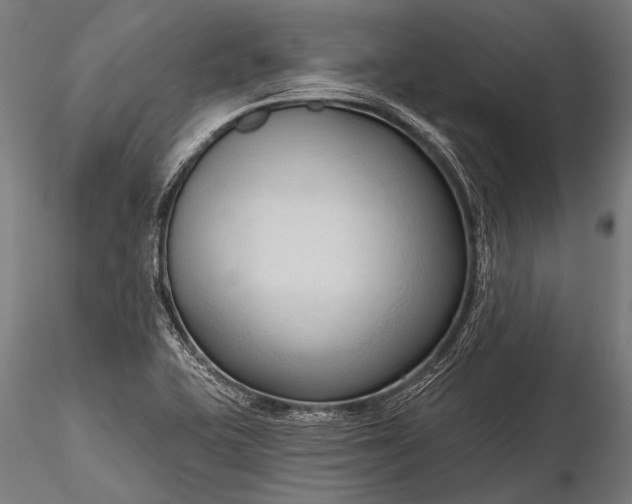 X0000116321415200912151232