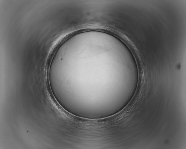 X0000116321416200912151232