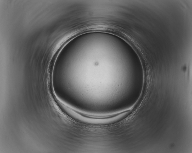 X0000116321418200912151232