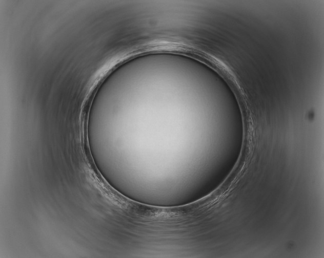 X0000116321419200912151232