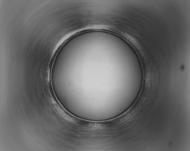 X0000116321420200912151232