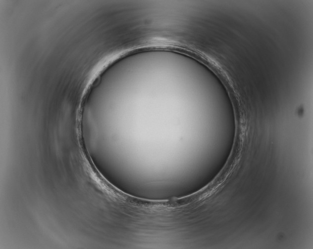 X0000116321421200912151232