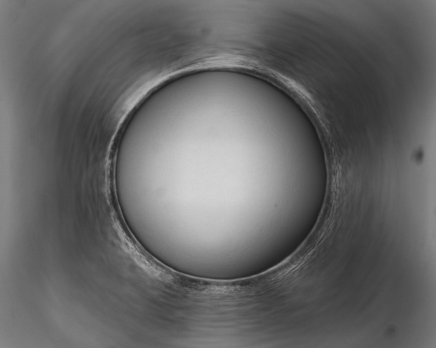 X0000116321423200912151232