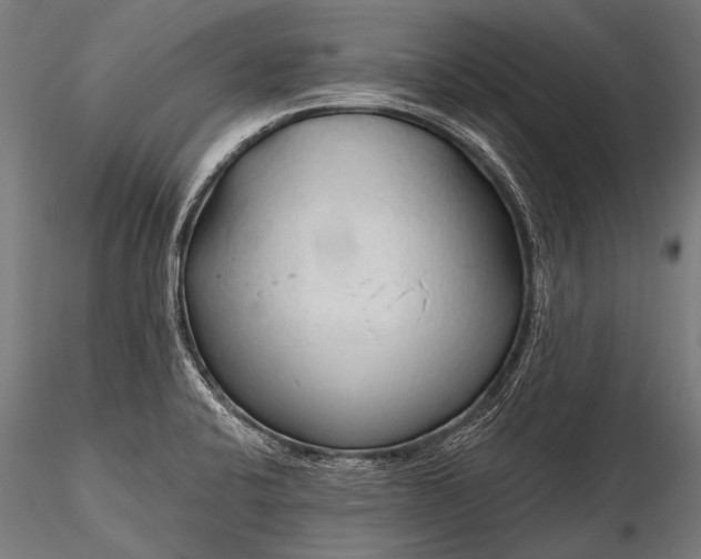 X0000116321424200912151232