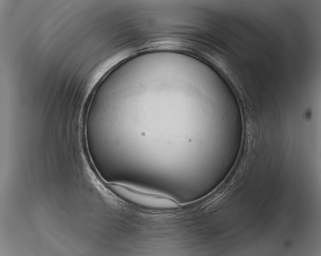 X0000116321426200912151232