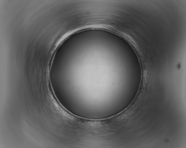 X0000116321428200912151232