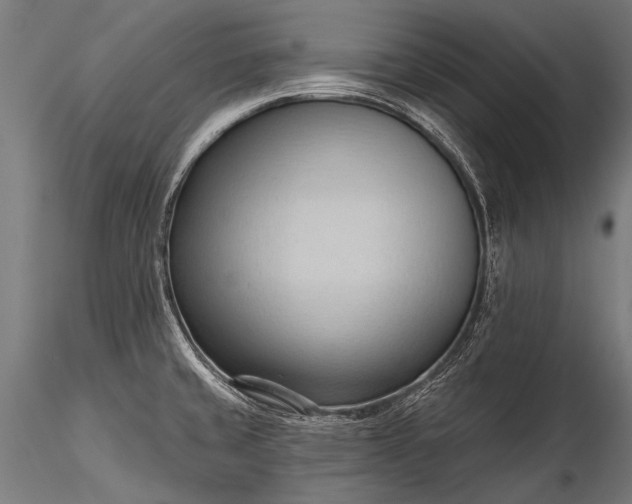 X0000116321429200912151232