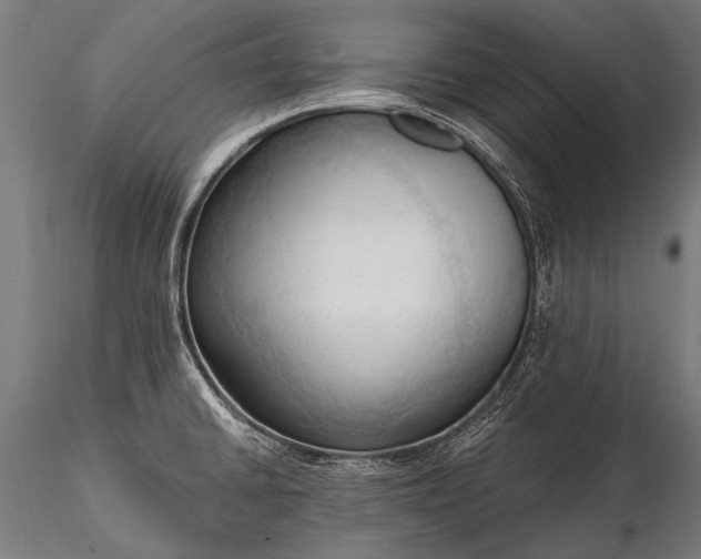 X0000116321430200912151232