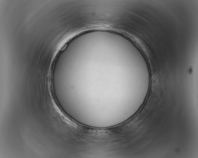 X0000116321432200912151232