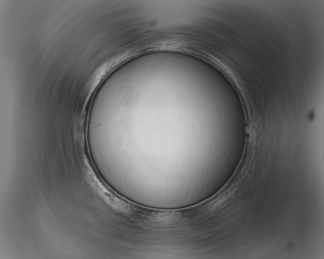 X0000116321434200912151232