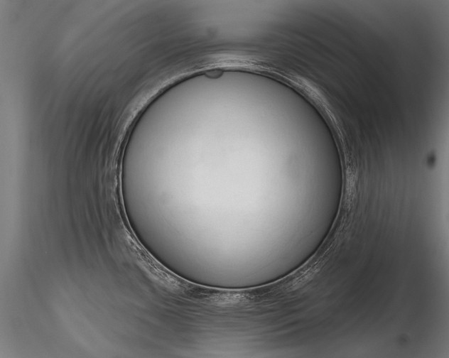 X0000116321435200912151232