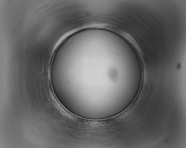 X0000116321436200912151232