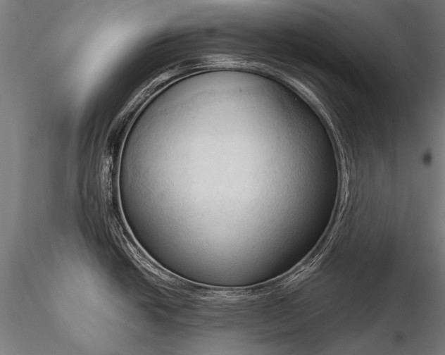 X0000116321438200912151232